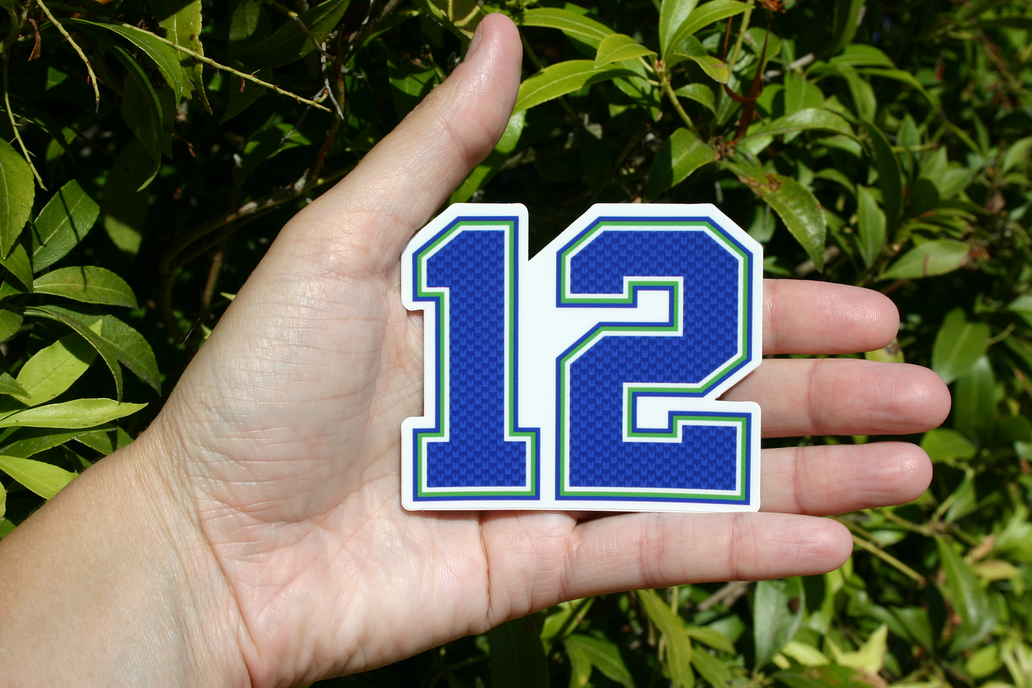 Seattle Seahawks 12th Man
