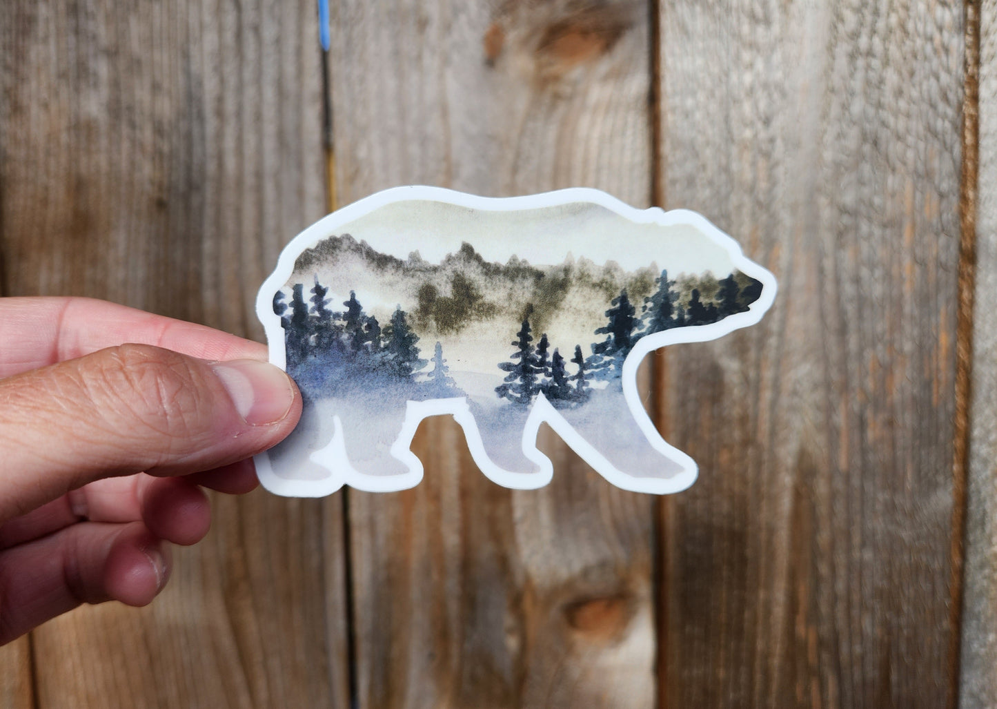 Watercolour Bear