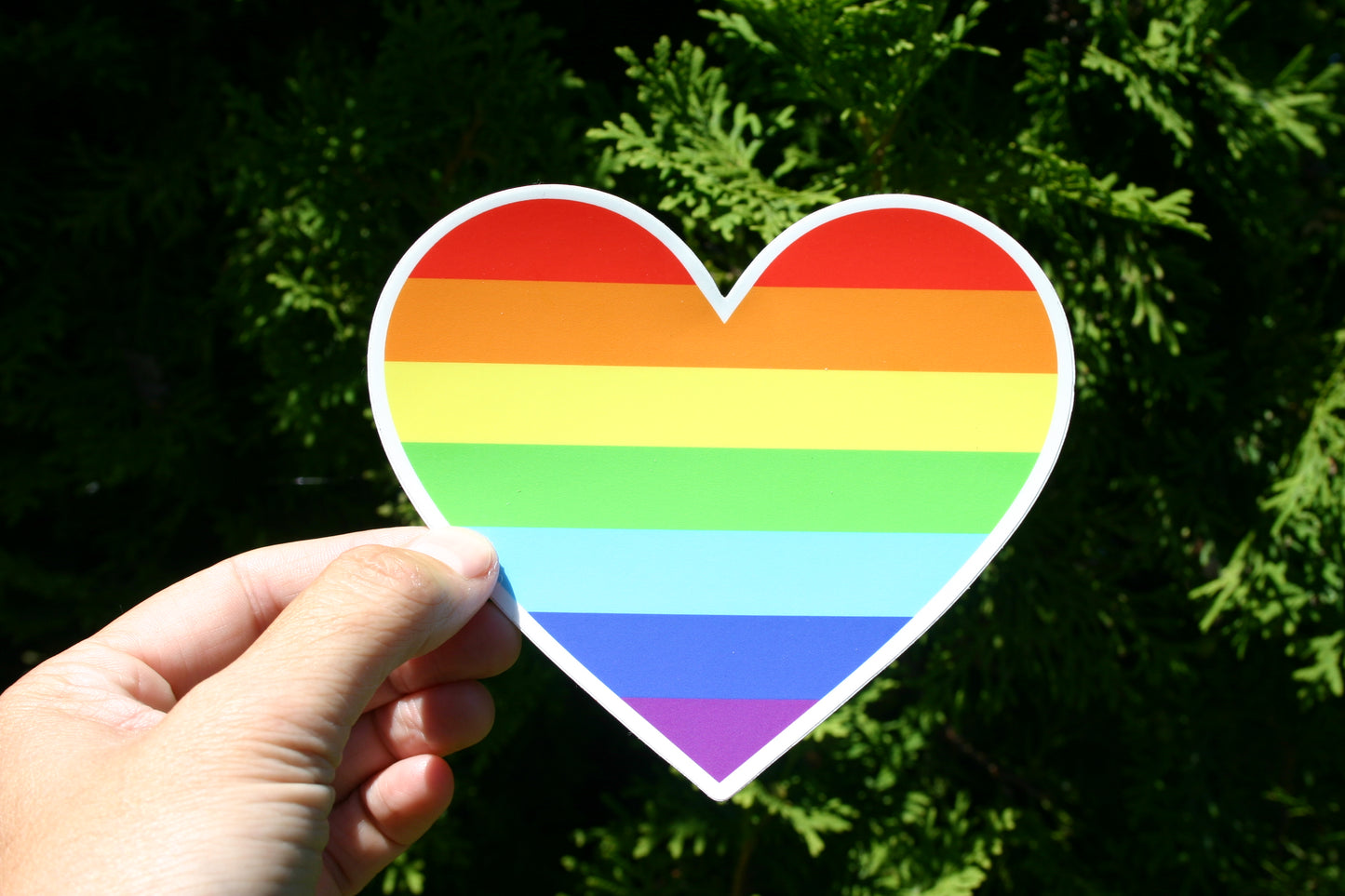 Rainbow Heart, White Outline