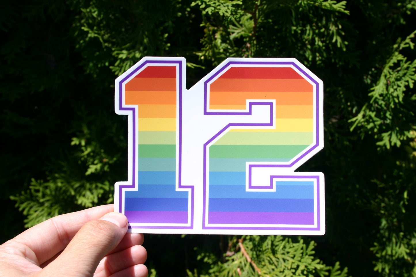 Rainbow 12