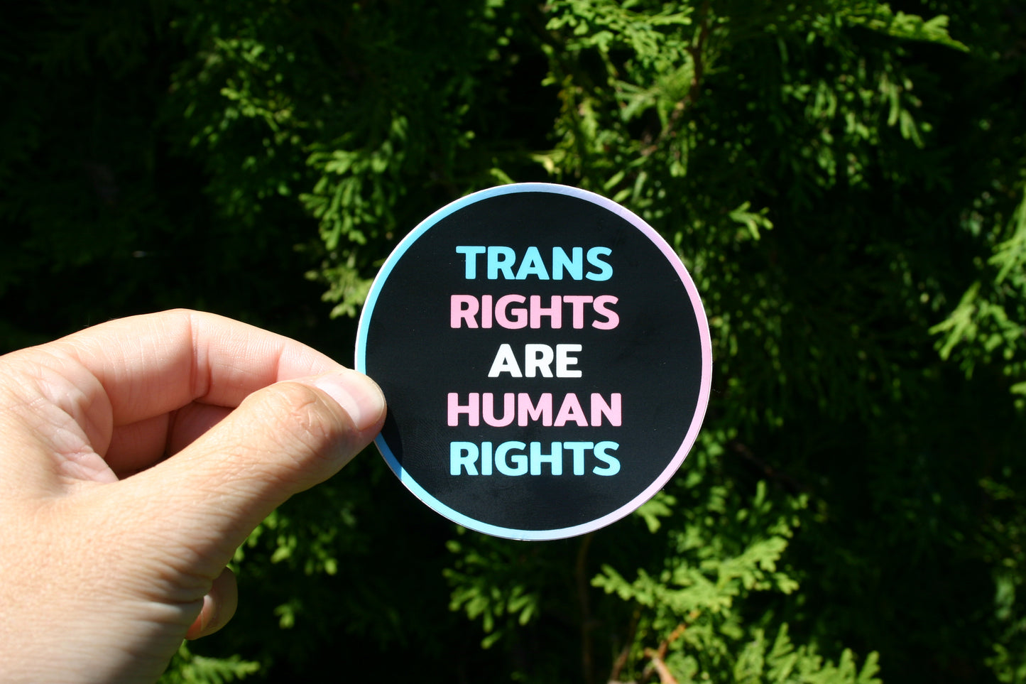Trans Rights Are Human Rights