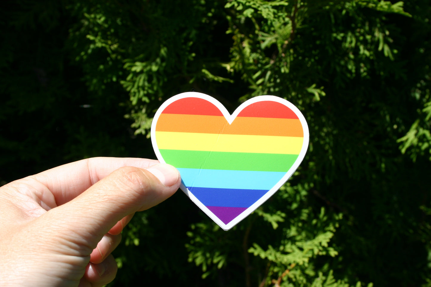 Rainbow Heart, White Outline