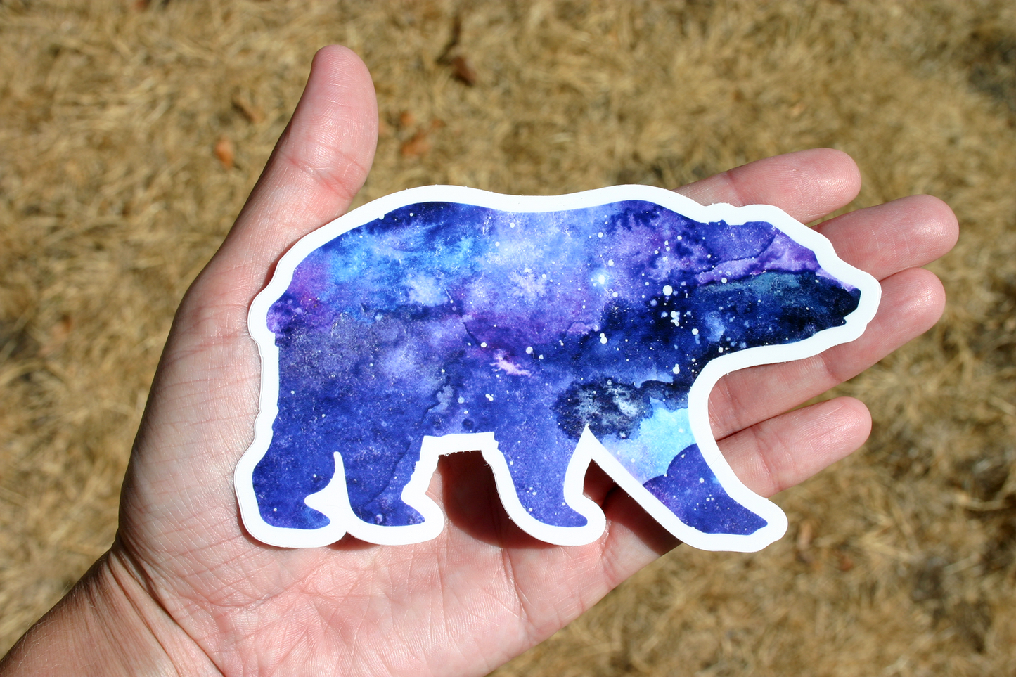 Galaxy Bear