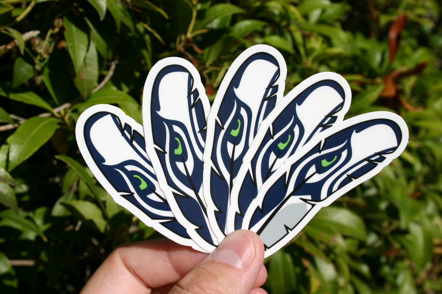 Seahawks Logo Feather