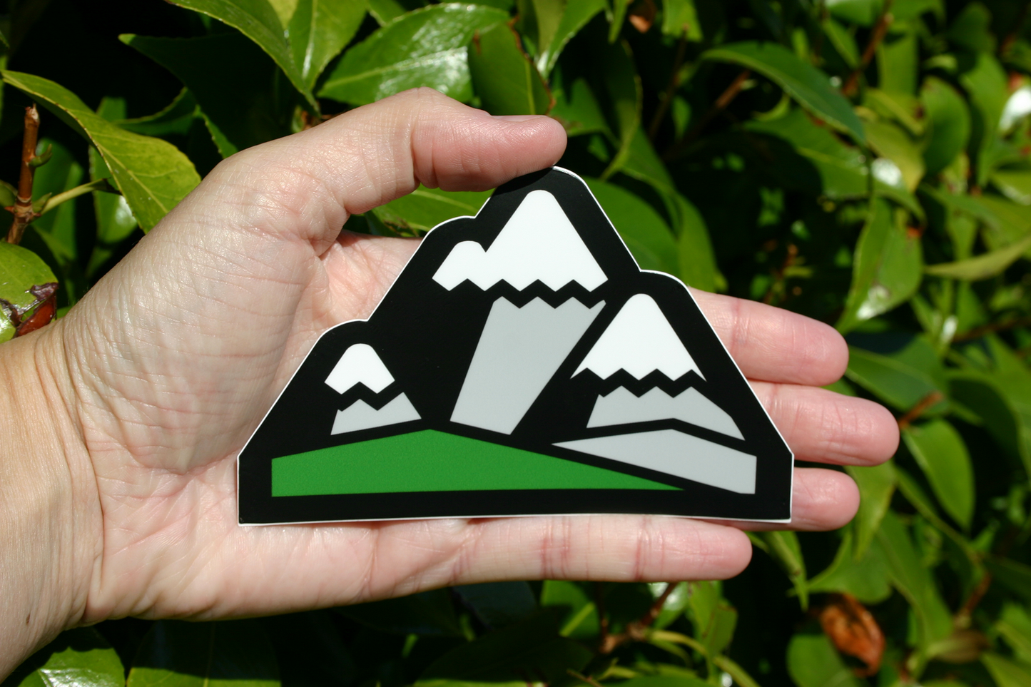 Mountains