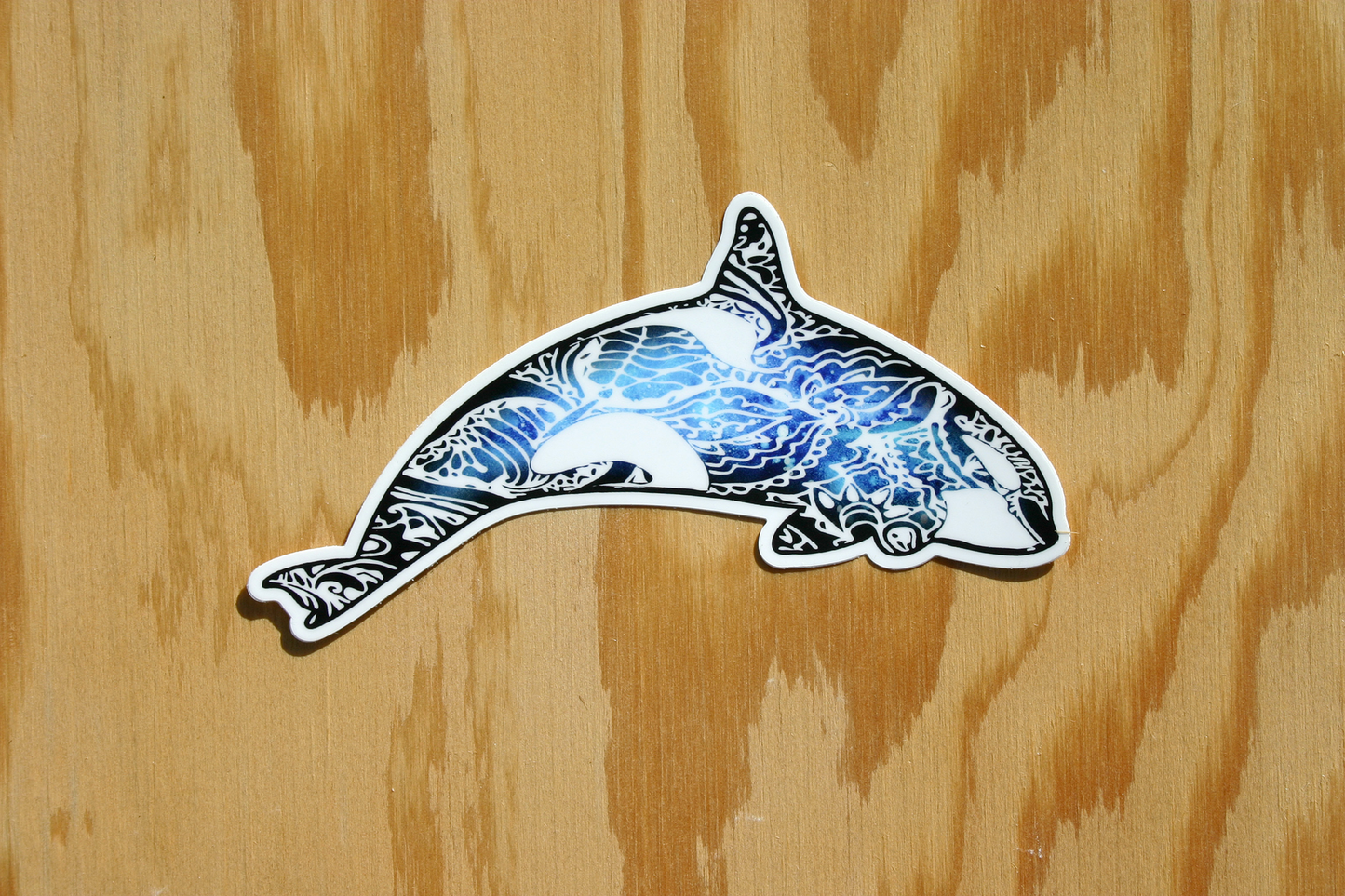 Orca Whale