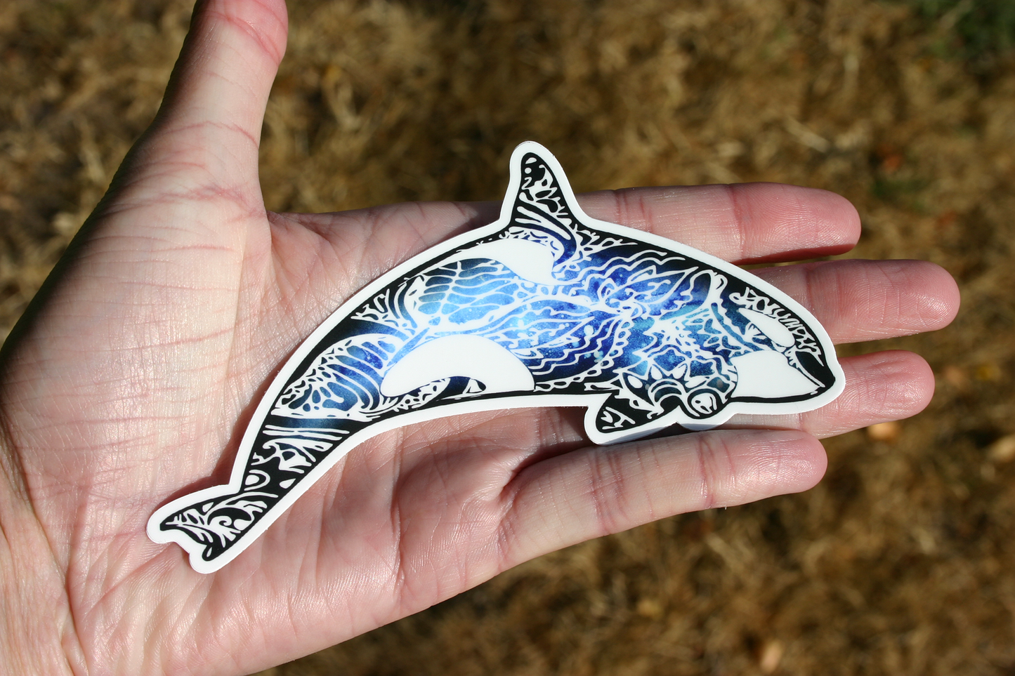 Orca Whale