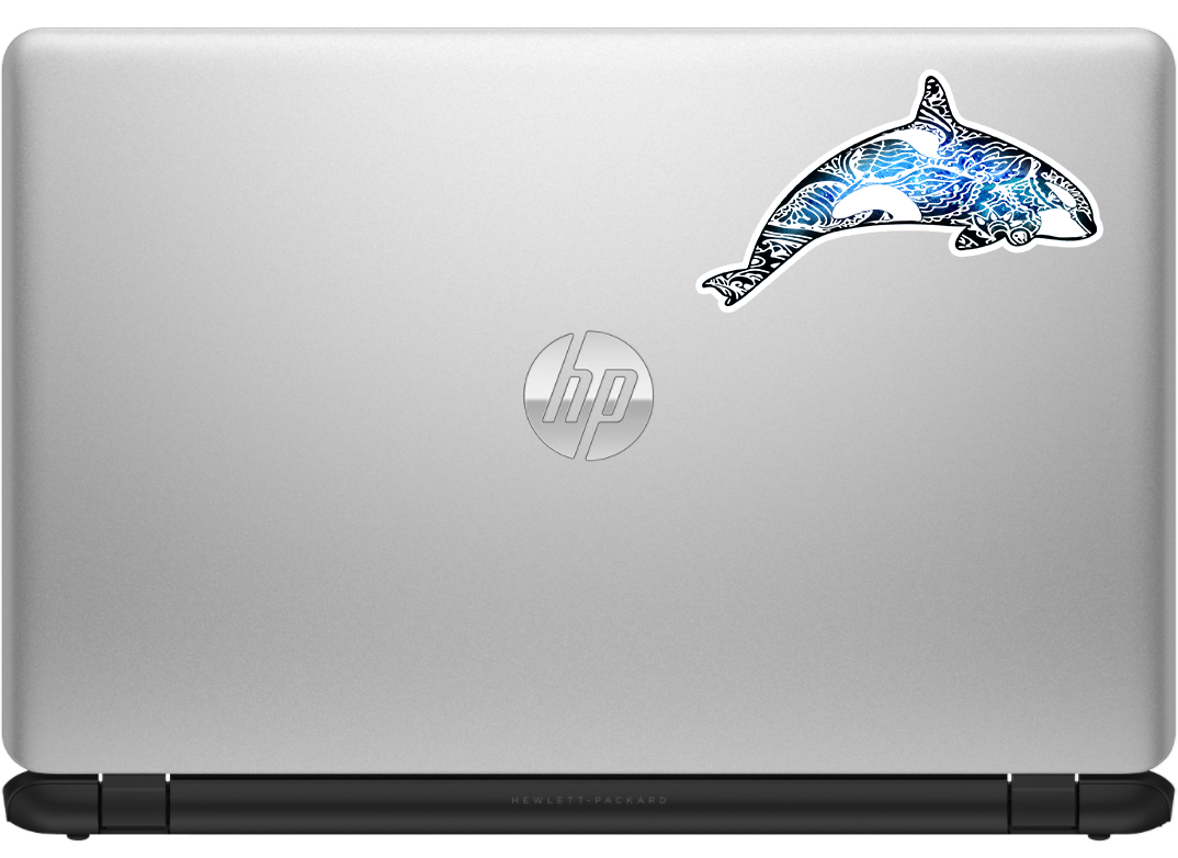 Orca Whale