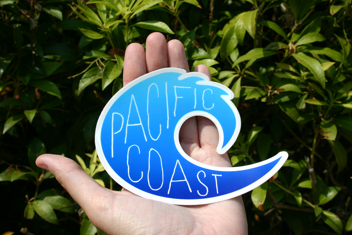 Pacific Coast Wave