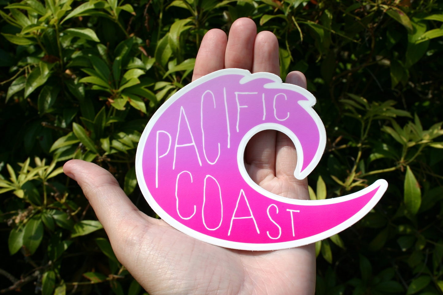 Pacific Coast Wave