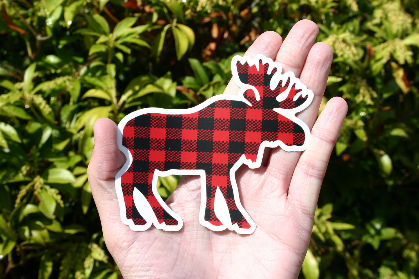 Plaid Moose