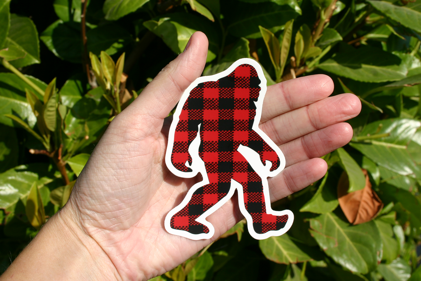 Plaid Sasquatch