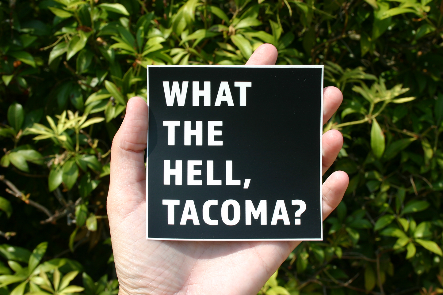 What The Hell, Tacoma?
