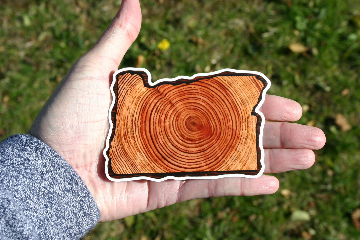 Oregon, Wood Pattern