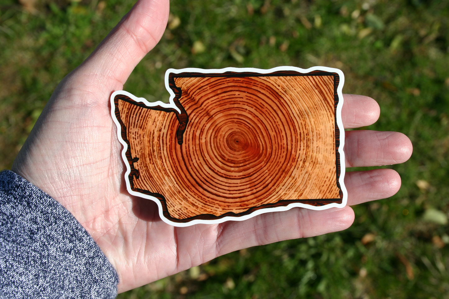 Washington State, Wood Pattern