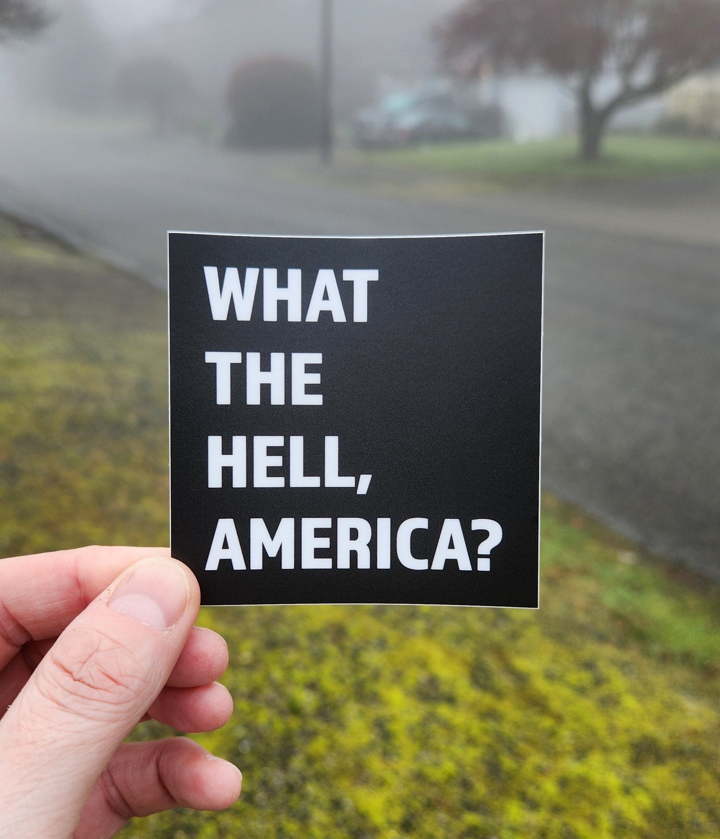 What the Hell, America? Sticker