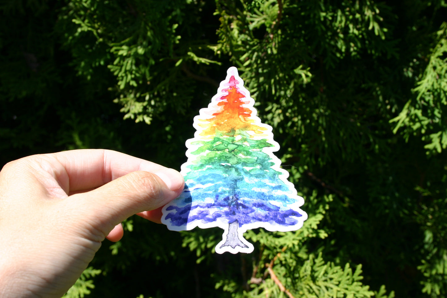 Rainbow Tree