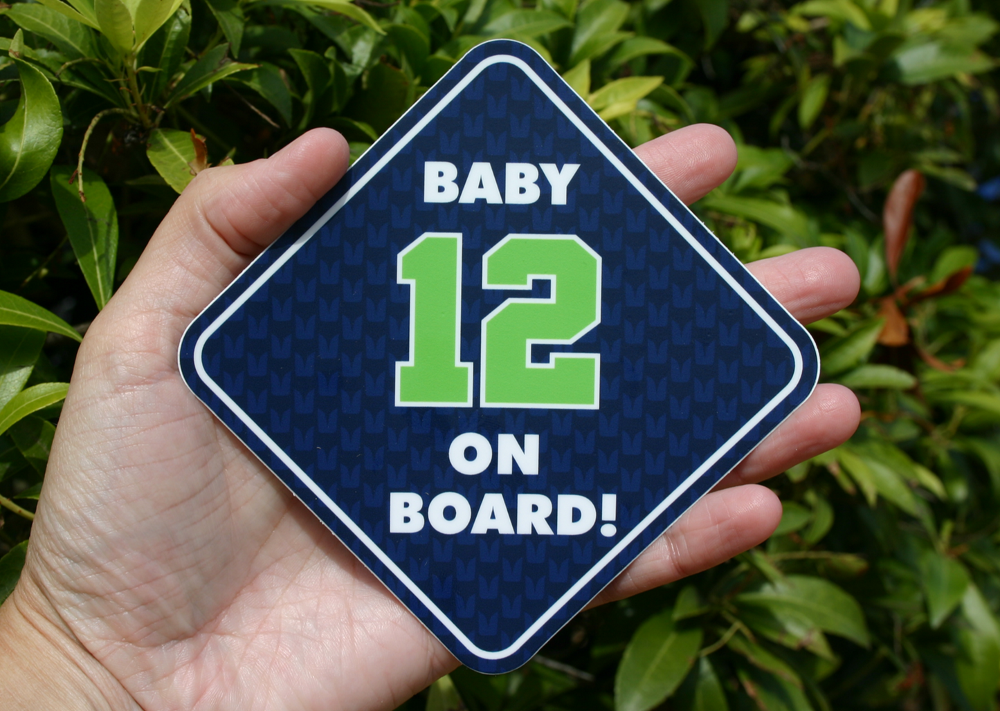 Baby 12 On Board