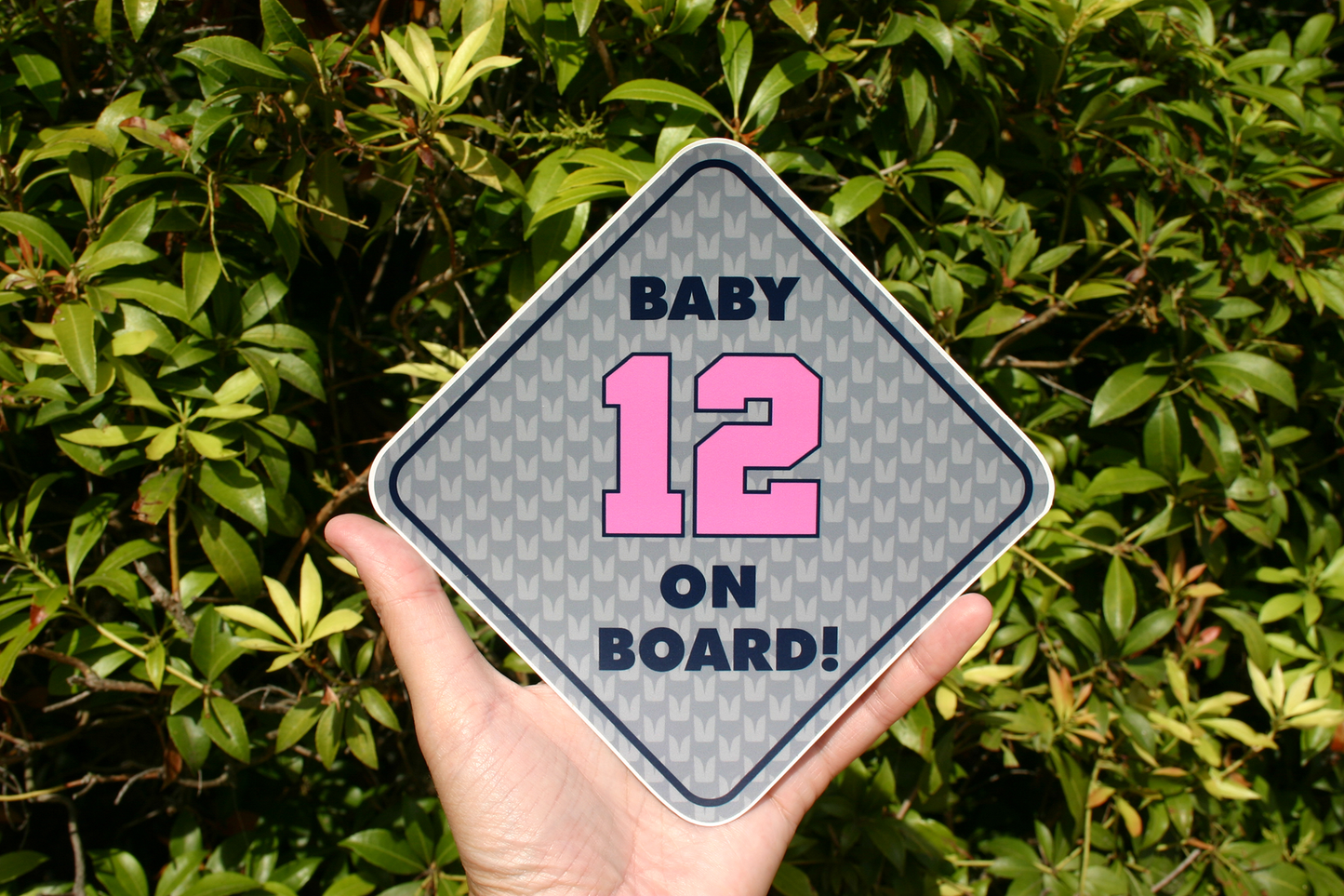 Baby 12 On Board