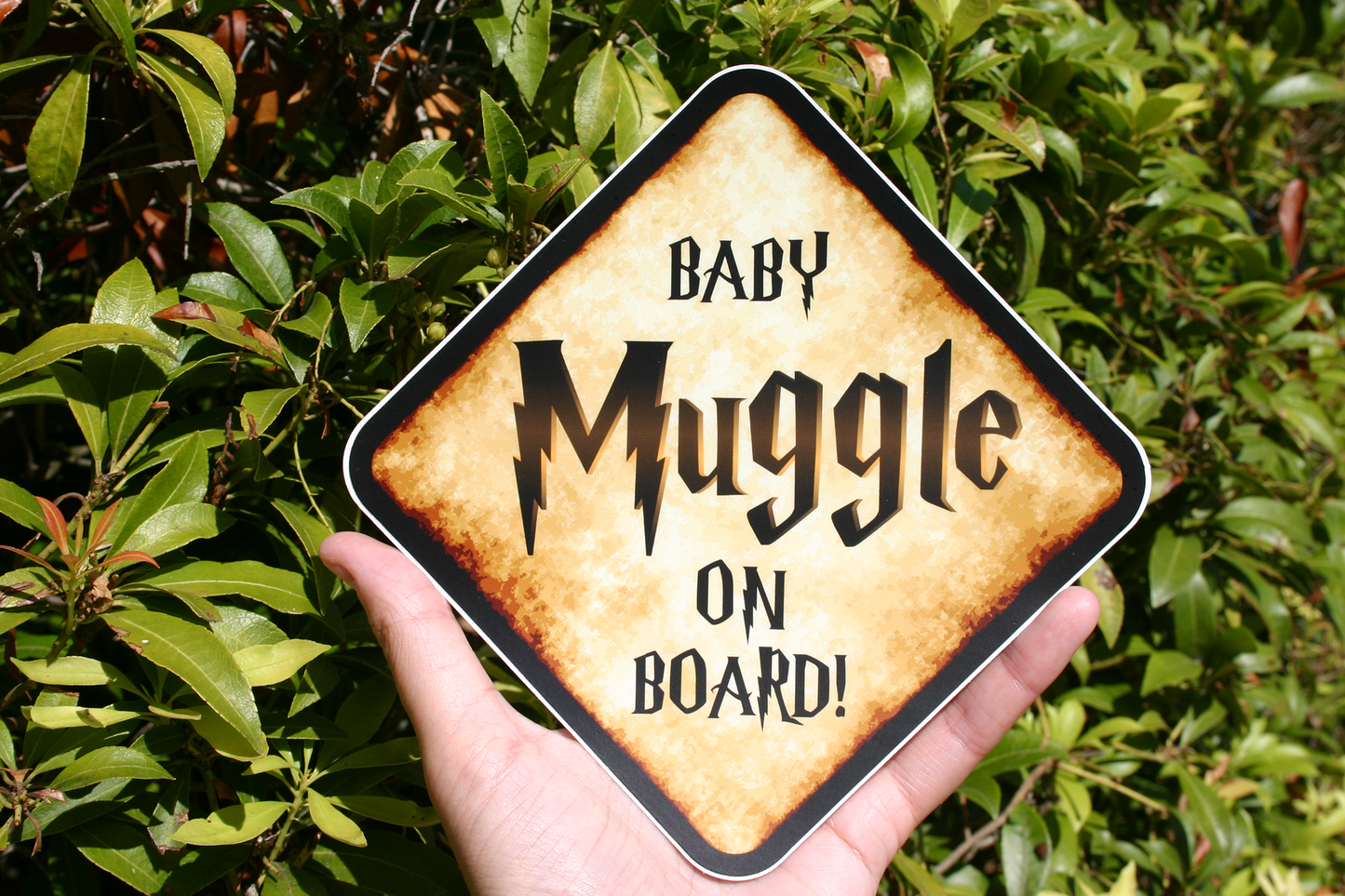 Baby Muggle on Board