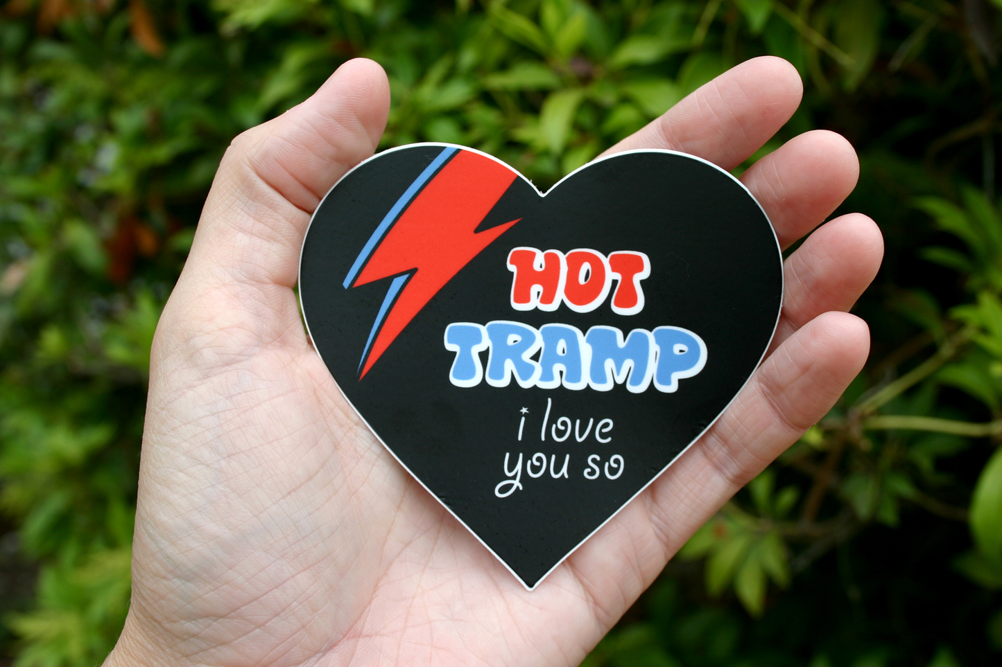 Hot Tramp I Love You So, Bowie Heart