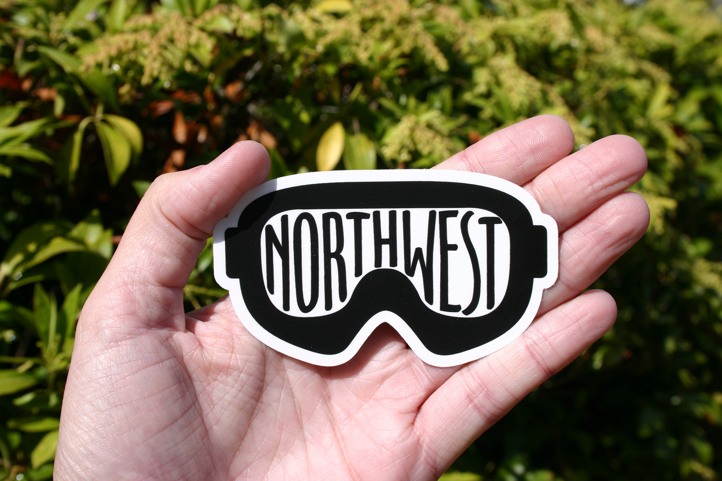 Northwest Goggles