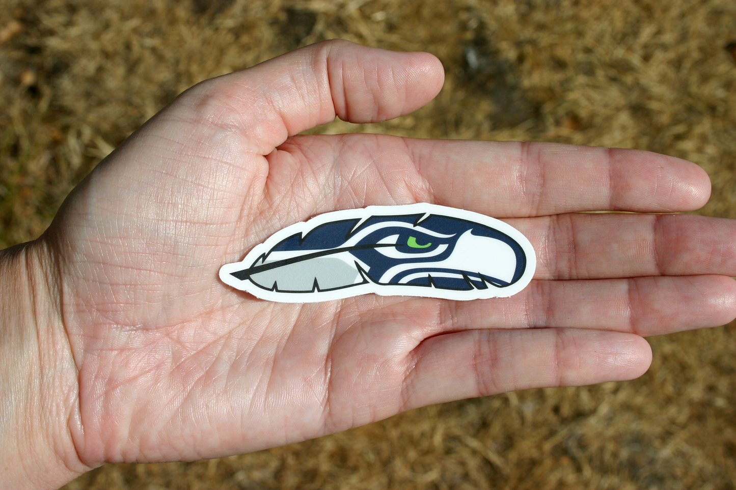 Seahawks Logo Feather