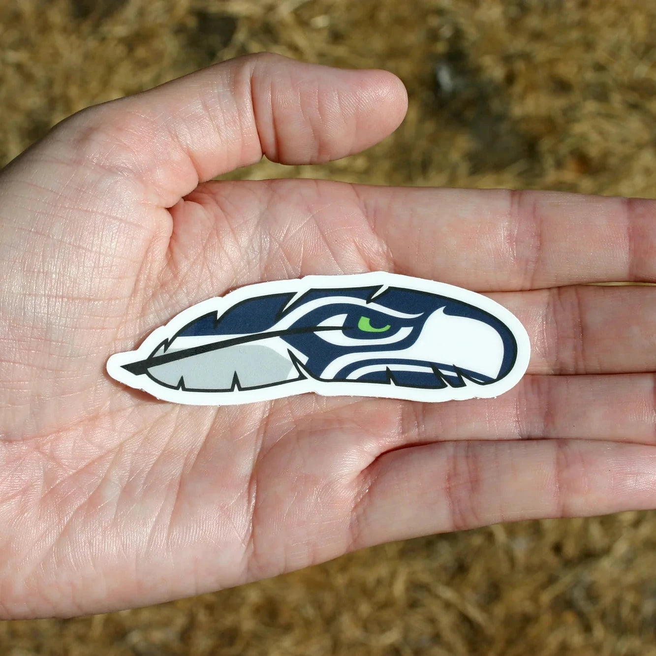 Seahawks Set - 4 small stickers