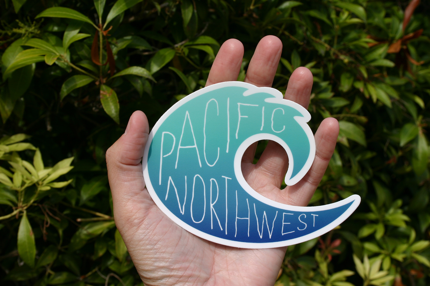 Pacific Northwest Wave