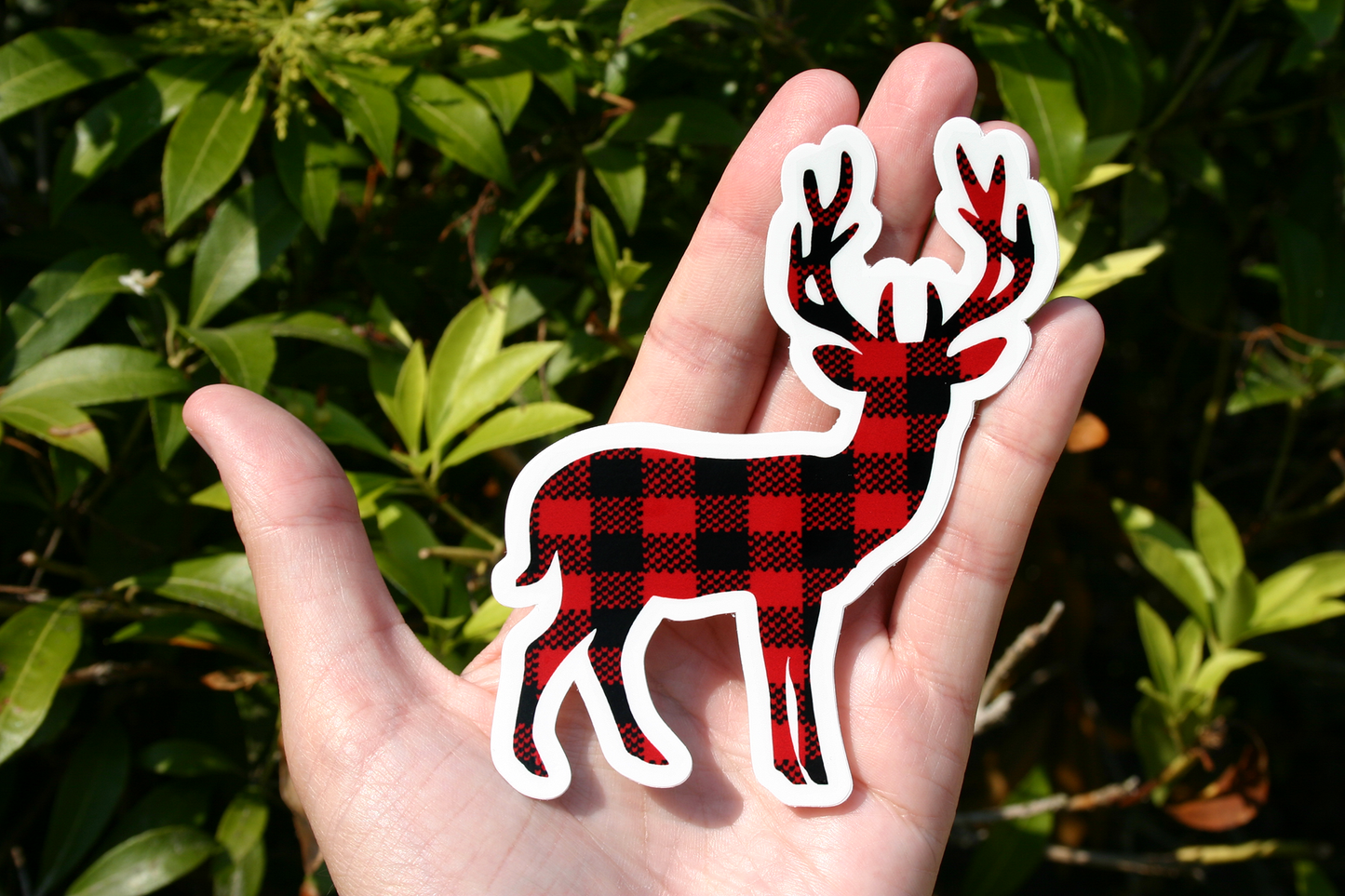 Plaid Buck