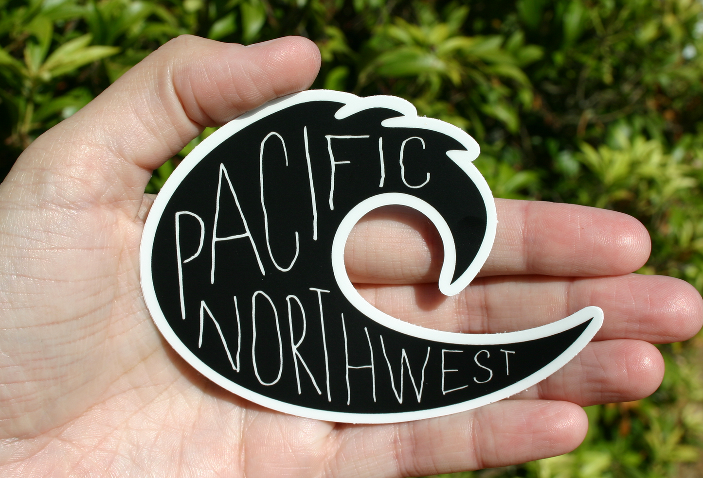 Pacific Northwest Wave