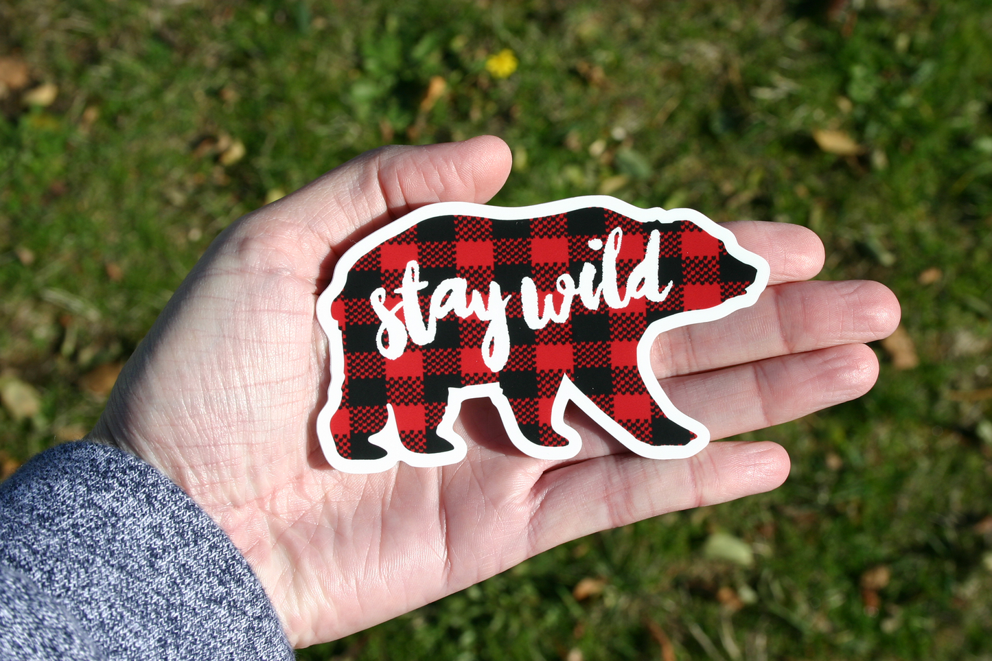 Stay Wild Bear