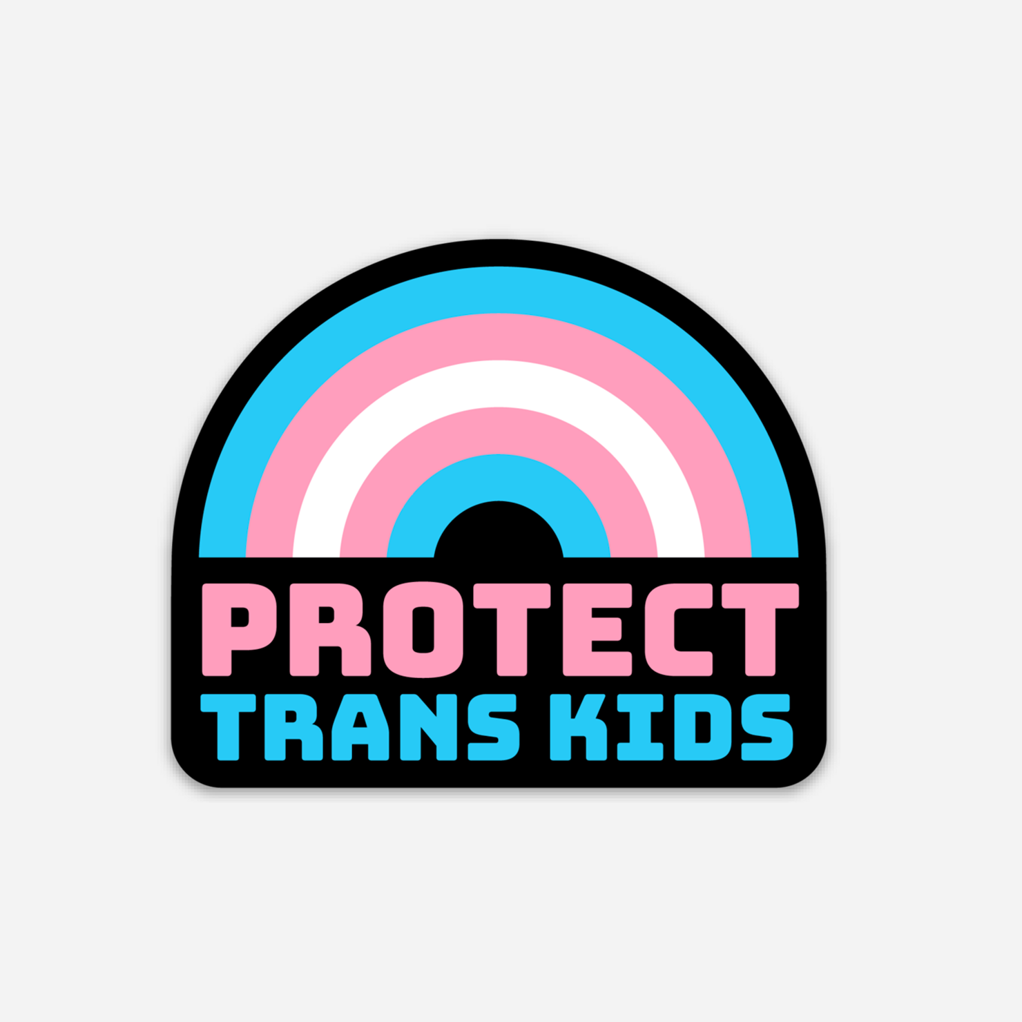 Protect Trans Kids Sticker – Discovery Stickers