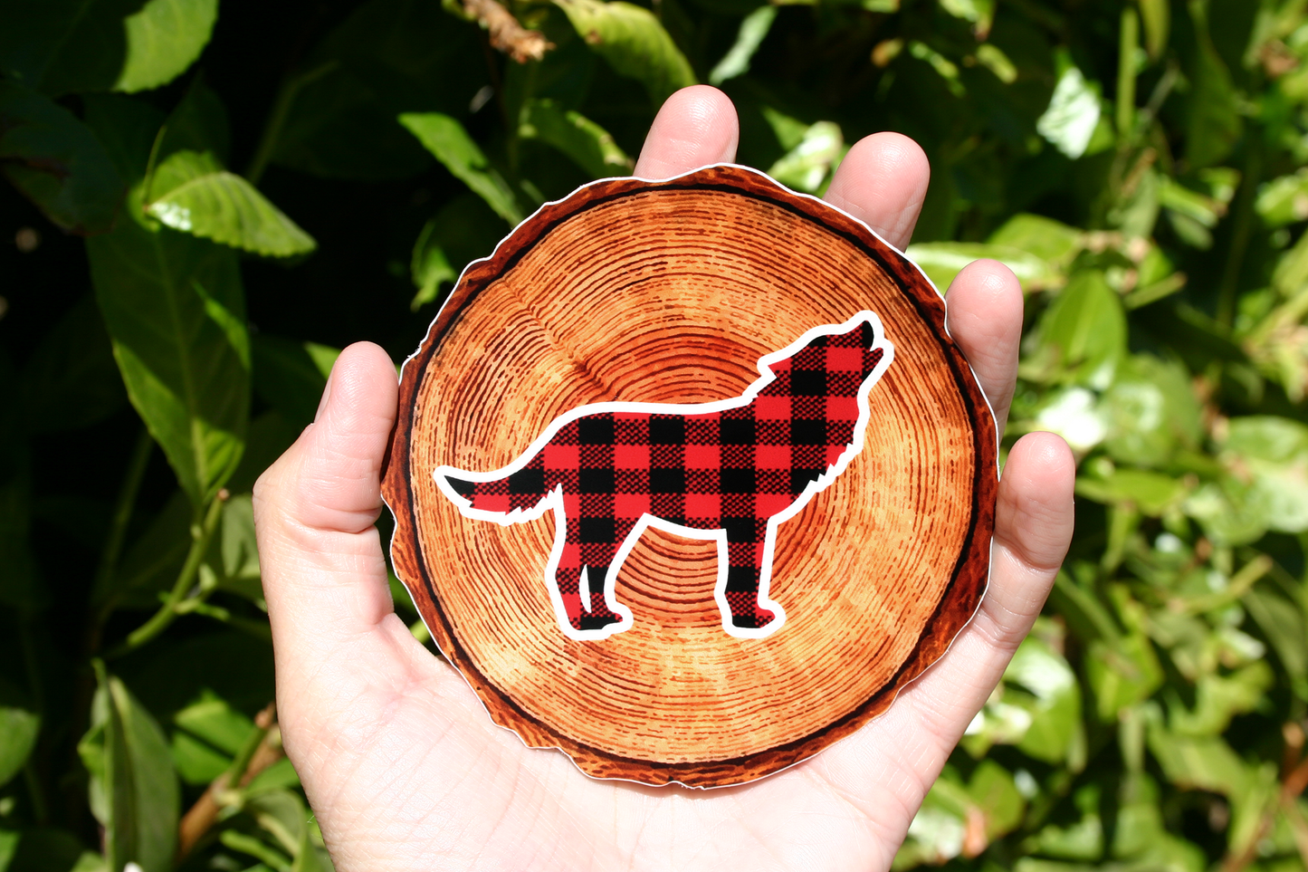 Wood Stump, Plaid Wolf