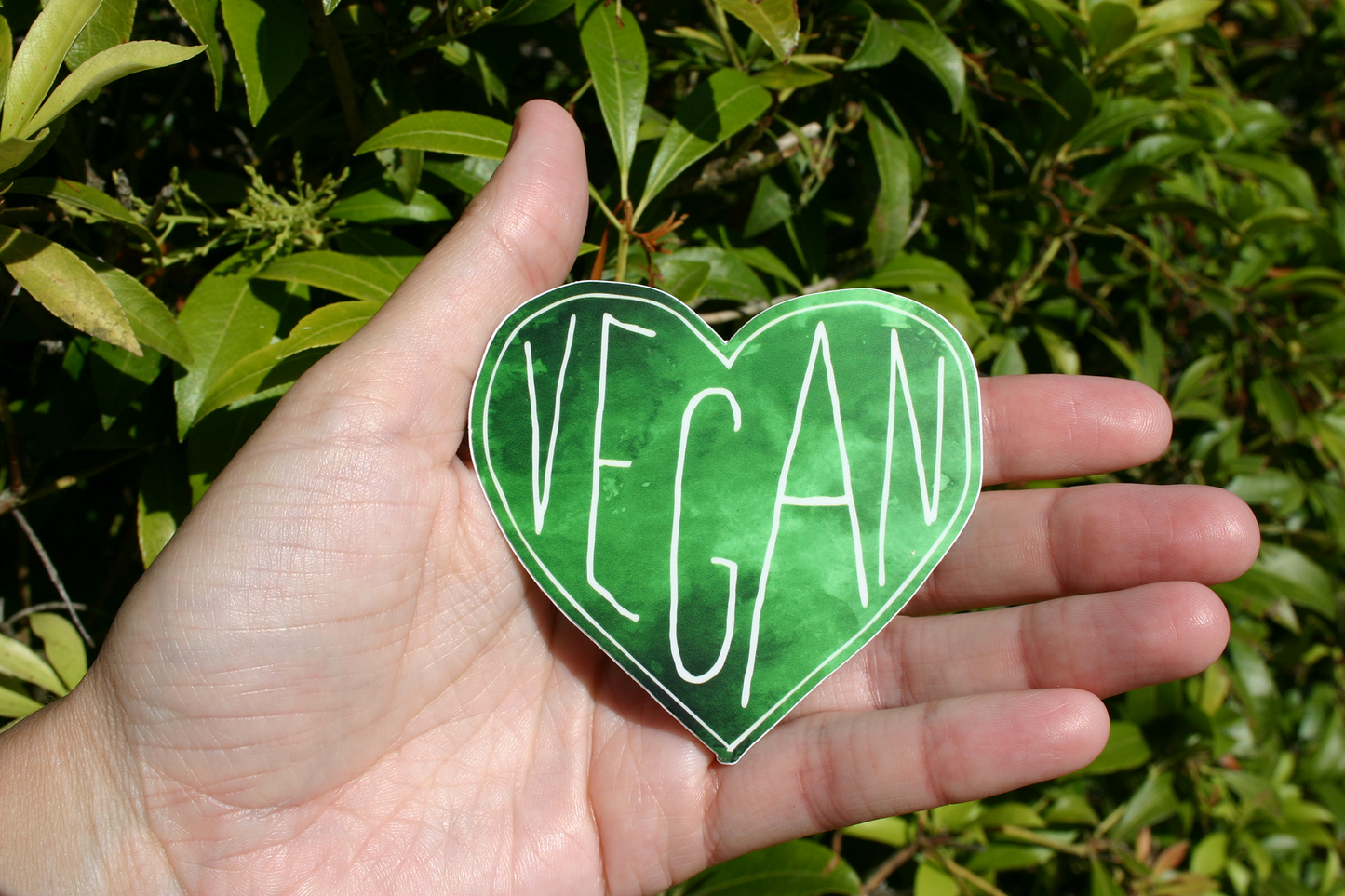 Vegan Heart