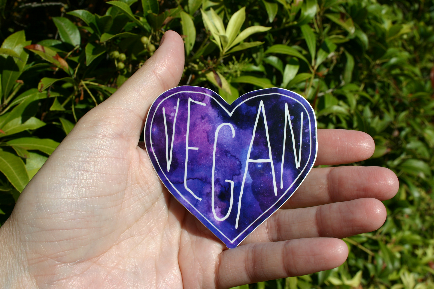 Vegan Heart