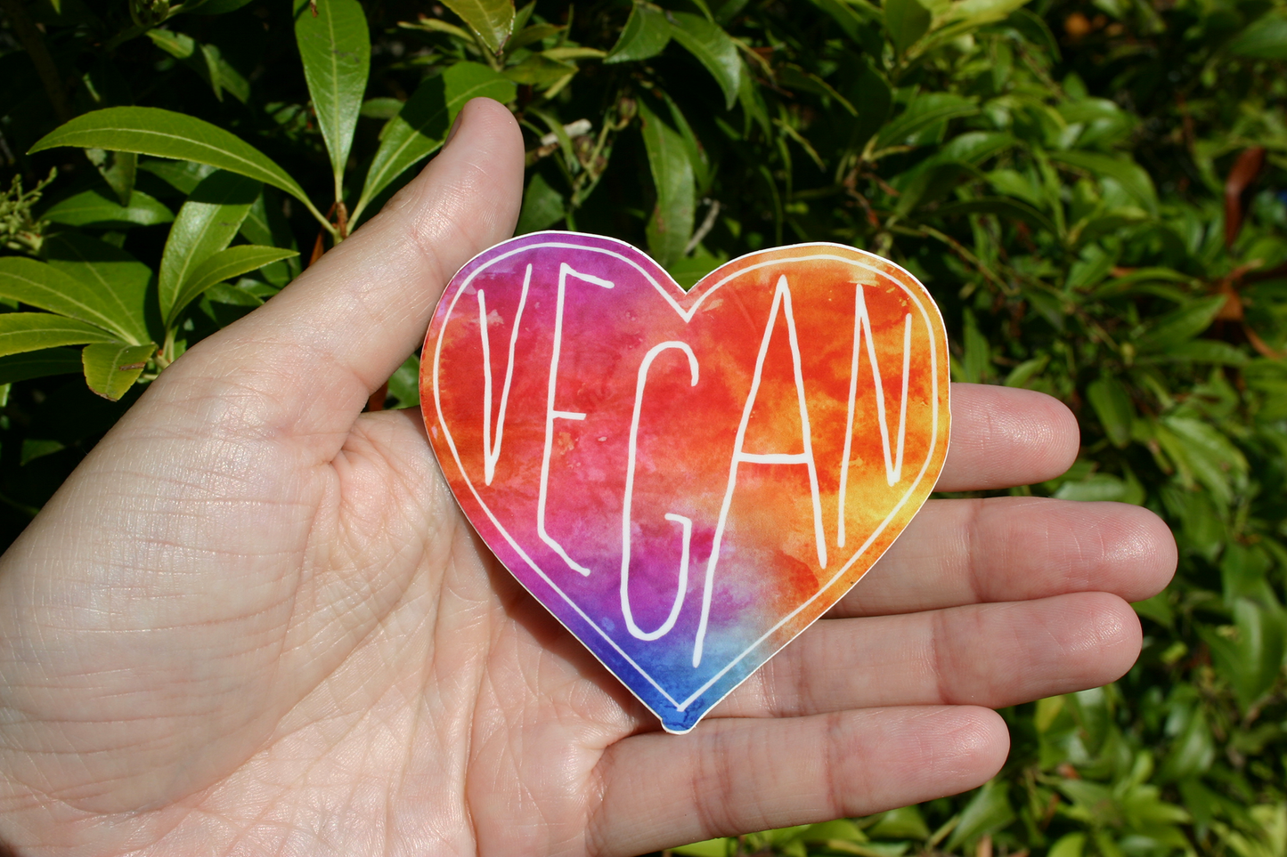 Vegan Heart