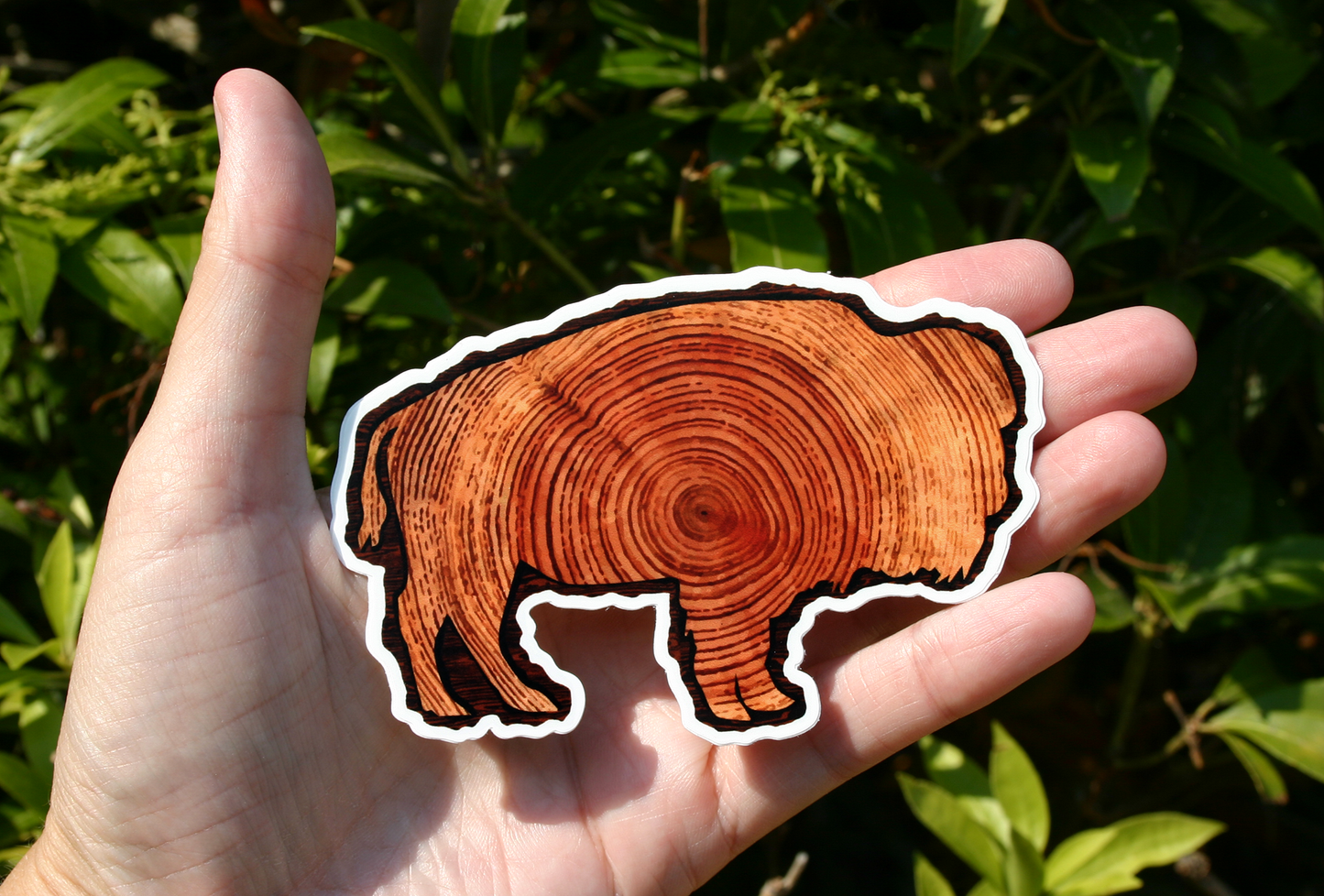 Woodgrain Bison